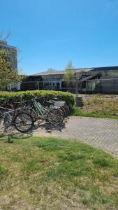 Jízda na kole v ubytování Optimist Sunlife Ostsee nebo okolí