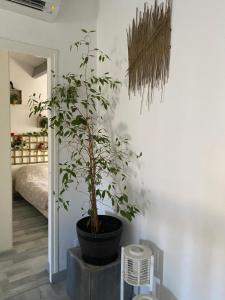 Φωτογραφία από το άλμπουμ του Villa Marie Belle, entre mer, étang et abricotier σε Frontignan