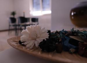 a white flower on a wooden plate on a table at Seaside Serenity "Sea" with pool, 150m from sea in Sukošan