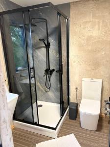 a bathroom with a shower and a toilet at Slana bara glamping in Slana Bara