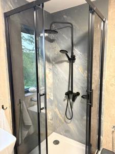 a shower with a glass door in a bathroom at Slana bara glamping in Slana Bara +31 photos