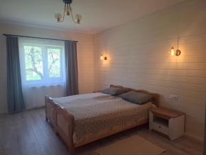 a bedroom with a bed and a window at Sadyba na Luzi in Verkhne-Studeny