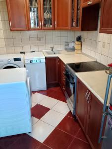 Fotografie z fotogalerie ubytování New Belgrade View v destinaci Novi Beograd + 24 fotografií