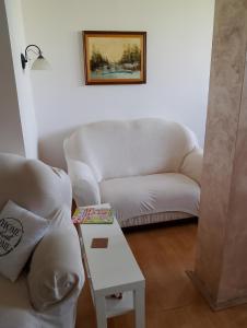 Fotografie z fotogalerie ubytování New Belgrade View v destinaci Novi Beograd