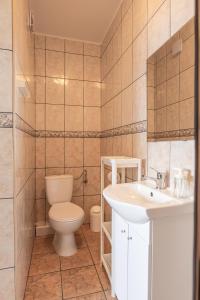 a bathroom with a toilet and a sink at Dom gościnny Słoneczny Zakątek in Dziwnówek +41 photos