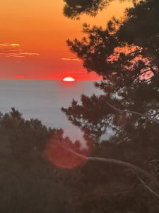 a sunset over the ocean with a tree in the foreground at Aral in La Pinilla