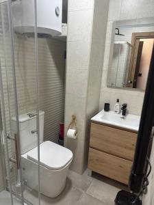 a bathroom with a toilet and a sink and a mirror at Aral in La Pinilla