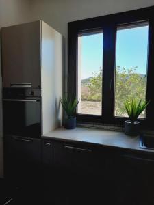 a kitchen with two potted plants and two windows at Country house in Iglesias +12 photos