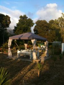 Gallery image of Alentejo Pig dog surf camp in Palhota