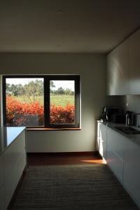 a kitchen with a large window with a view of a field at Lusus Wine House in Lourosa