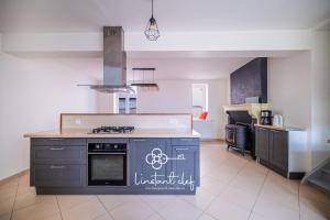 een keuken met een kookplaat in de kamer bij Douceur bucolique, jardin & mezzanine cosy in Parigné-lʼÉvêque