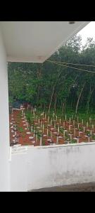 a view from a window of a garden with trees at Vijayas agro farm in Jāmb
