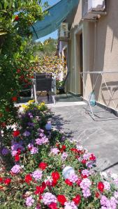 Fotografie z fotogalerie ubytování Vila Disha Ksamil v destinaci Ksamil