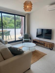 TV/trung tâm giải trí tại Les hauts de Vaison