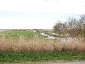 Příroda nedaleko bed and breakfast