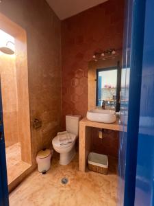a bathroom with a toilet and a sink and a mirror at Nikosgardenplacebythesea in Amorgos