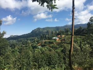 LushotoにあるMilemeleni Lodgeの木の家がある丘の景色