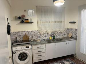 a kitchen with a sink and a washing machine at SMYRNA HOMES ASTRONOMi in Chios
