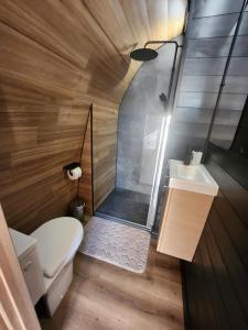 a bathroom with a shower and a toilet and a sink at La cabane entre les cimes in Montgras