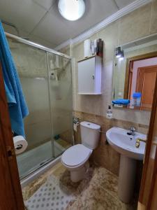 ein Badezimmer mit Toilette, Dusche und Waschbecken in der Unterkunft Amanecer Costero in Orihuela