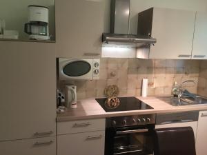Köök või kööginurk majutusasutuses Apartment Vogelsinger