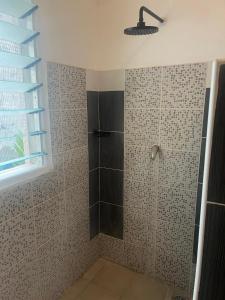 a bathroom with a shower with a glass door at Green Malindi Luxury Apartments in Malindi +10 photos