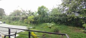 a view from a balcony of a road with trees at Apartamento Amoblado La Tebaida in La Tebaida