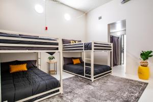 two bunk beds in a room with a mirror at Urban Retreat in Knoxville