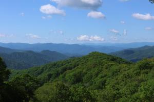 Fotografie z fotogalerie ubytování The Meadows 