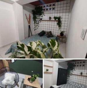 Φωτογραφία από το άλμπουμ του Alejandría 1 σε Itagui