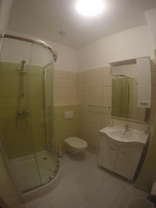 Salle de bains dans l'établissement Apartments Carapina