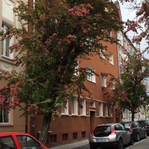 un árbol florido frente a un edificio en Apartamenty Centrum - Moonlight, en Opole