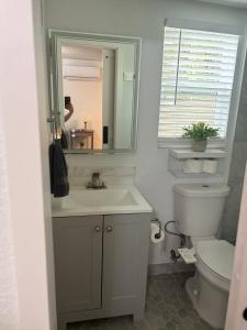 タンパにあるHome Sweet Homeの洗面台、トイレ、鏡のあるバスルーム