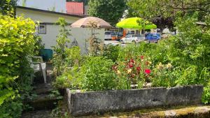 Vonkajšia záhrada v ubytovaní Loft am Park