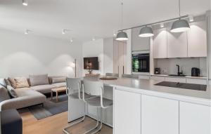 eine Küche und ein Wohnzimmer mit einer Bar und einem Sofa in der Unterkunft 2 Bedroom Lovely Apartment In Tossens in Stick