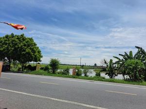 een persoon die vliegert aan de kant van een weg bij GolDen RiCe in Thái Thụy