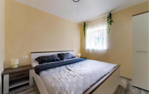 Ένα ή περισσότερα κρεβάτια σε δωμάτιο στο Beautiful Home In Lupoglav