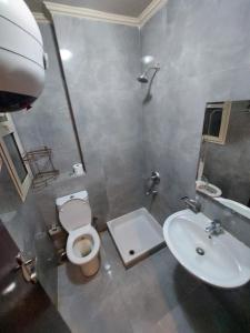 アインソフナにあるدوبلكسのトイレと洗面台のあるバスルーム +23枚の写真