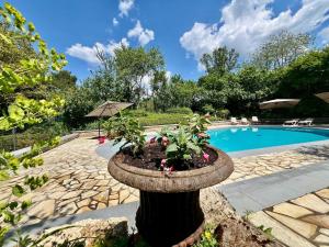 a potted plant in a pot next to a pool at Estate in Dordogne near Sites in Falcou