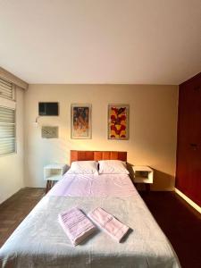 阿西斯Descomplica Hostel的卧室里有一张床，床上放着两条毛巾。