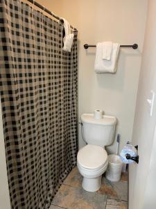 a bathroom with a toilet and a shower curtain at Daynas Star Gazer in Gatlinburg +18 photos