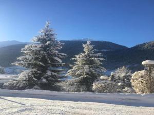 Φυσικό τοπίο κοντά σε αυτό το διαμέρισμα