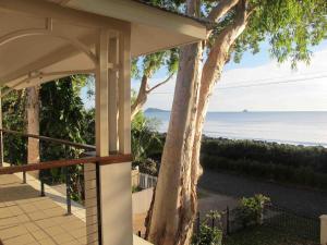 Una casa con un árbol y vistas al océano en Seascape Luxury Beachfront House en Clifton Beach