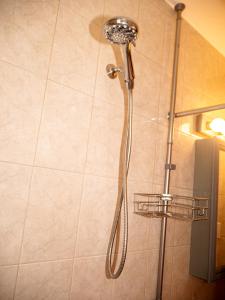 a shower with a shower head in a bathroom at Immaculate furnished 1-Bedroom Apartment in Sunnyside