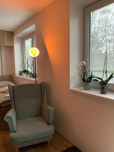 Posezení v ubytování Apartmán Orchidea 3