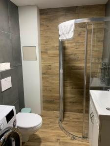 Koupelna v ubytování Apartmán Orchidea 3