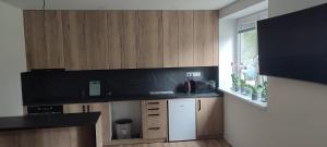 Kuchyň nebo kuchyňský kout v ubytování Apartmán Orchidea 3