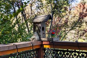 丹德农山Romantic Retreat with Spa and Private Gardens的相册照片