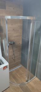 a shower in a bathroom with a glass wall at Apartmán Orchidea in Stará Ľubovňa +20 photos