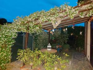 Zahrada ubytování Agriturismo Il Rustico